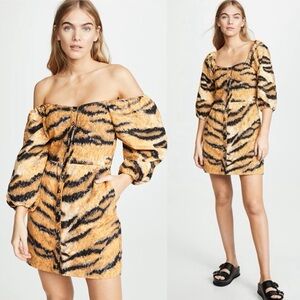 Hofmann Copenhagen Tiger Stripe Animal Print Aline Mini Dress $313 Size 36 US 6